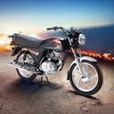 Moto Xpress 125